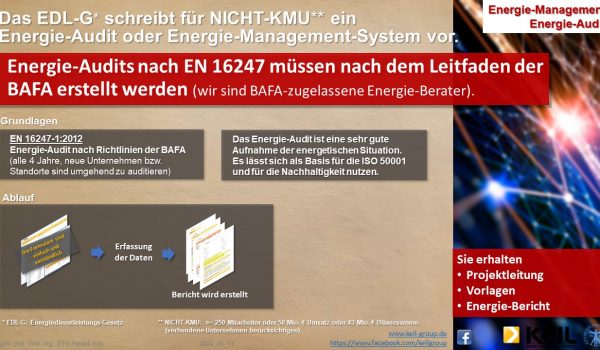Eine Infografik zum Thema Energie Audit